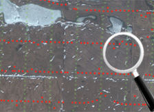 aerial photo with superimposed 3d seismic data